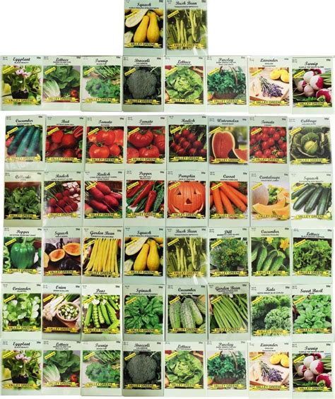 Non-GMO premium-quality <b>vegetable</b> gardening <b>seeds</b>; Big Beef hybrid; Includes one 10-<b>seed</b> packet; Solanum lycopersicum; High germination rate; <b>Seeds</b> for <b>vegetable</b> gardening; Days to full maturity: 73; V, F1 and 2, A, S, N and T; Yields approximately 8 extra-large tomatoes for every 100 <b>seeds</b>; USDA hardiness zone: annual crop, not intended to. . Vegetable seeds walmart